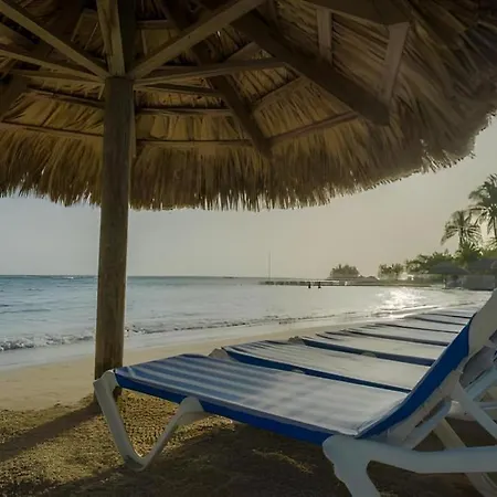 Catalonia Montego Bay - All Inclusive-2